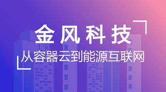 從容器云到能源互聯(lián)網(wǎng) 金風(fēng)科技的網(wǎng)絡(luò)技術(shù)咨詢服務(wù)賦能智慧能源未來(lái)